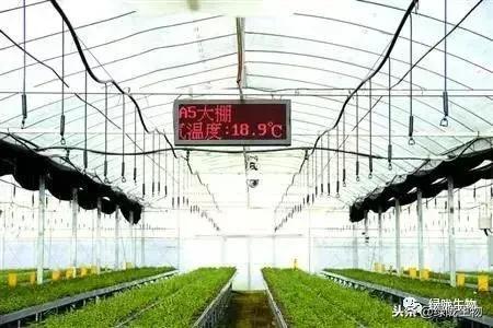 冬季使用微生物菌劑與物聯(lián)網(wǎng)應(yīng)用服務(wù)的關(guān)鍵注意事項